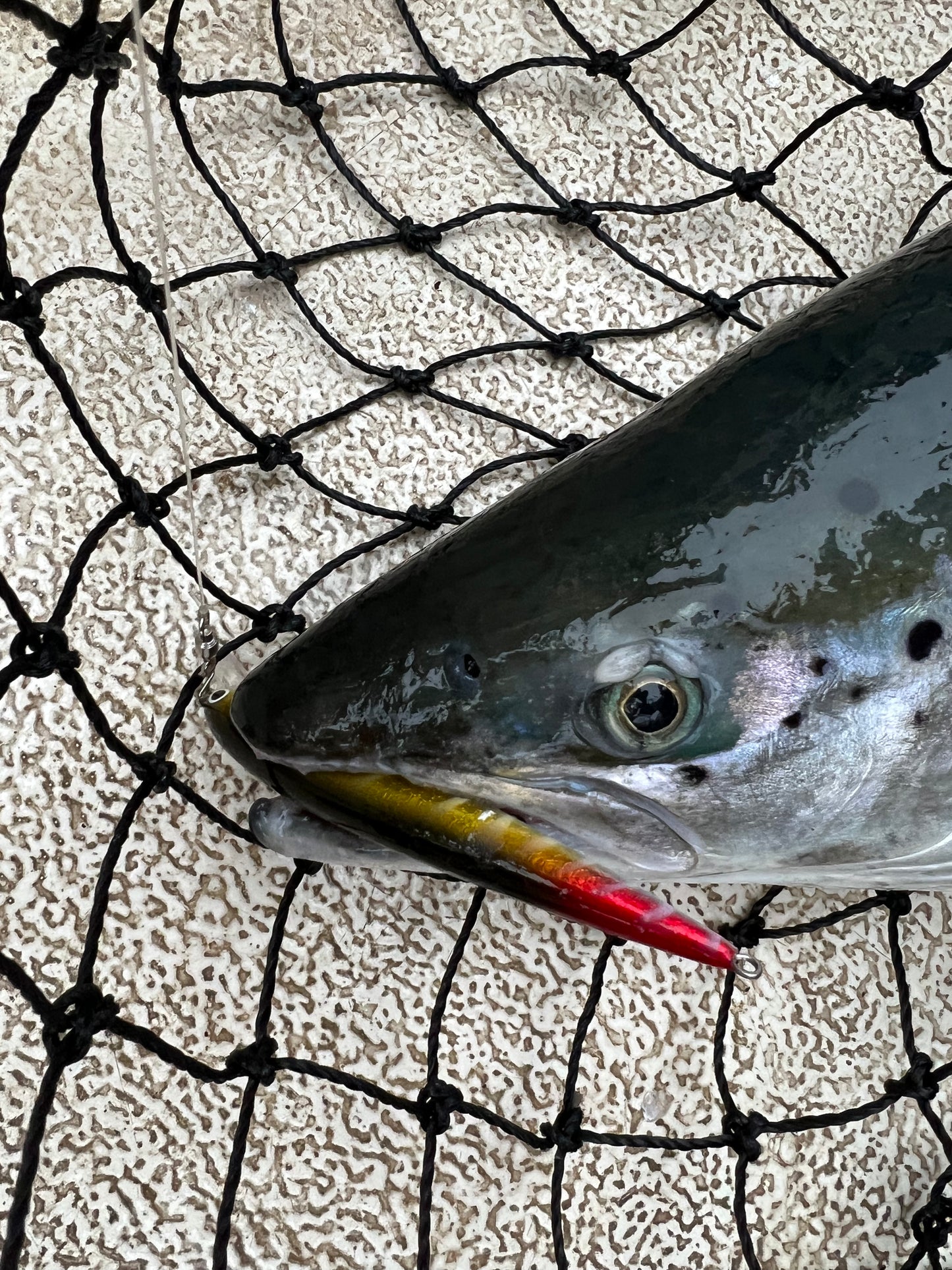 Karikko 11 cm
