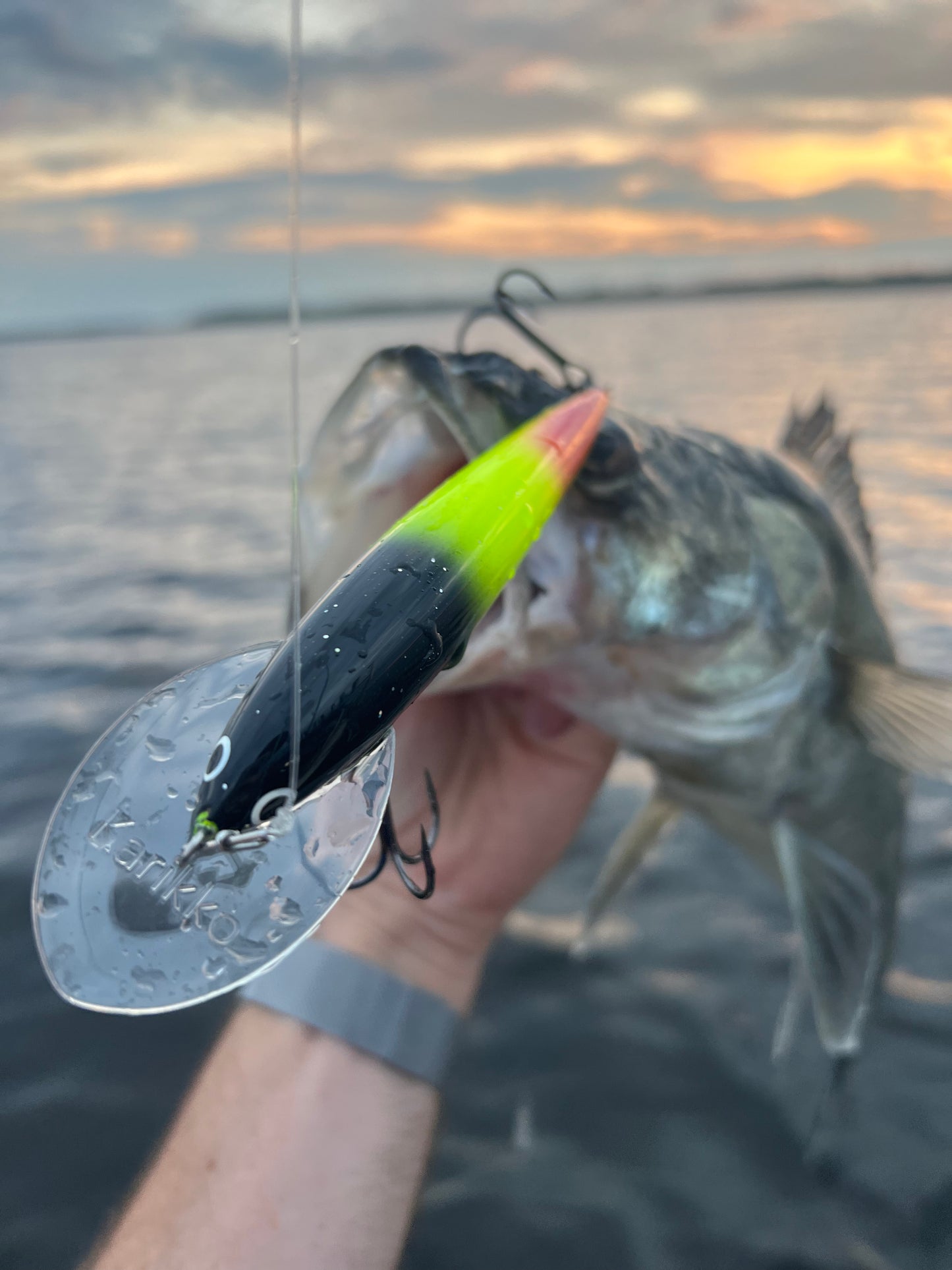 Karikko 15 cm